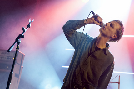 the wombats